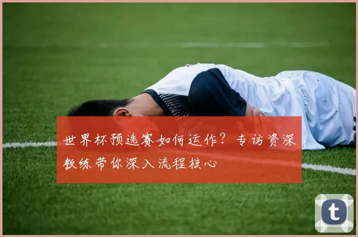 世界杯预选赛如何运作？专访资深教练带你深入流程核心