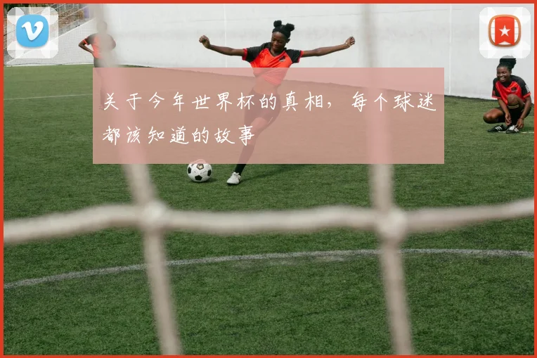 关于今年世界杯的真相，每个球迷都该知道的故事