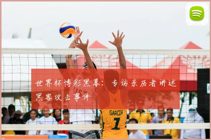 世界杯博彩黑幕：专访亲历者讲述黑客攻击事件