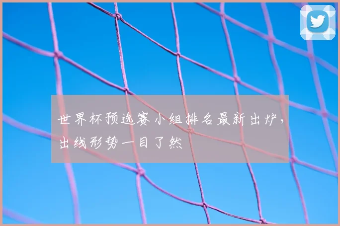 世界杯预选赛小组排名最新出炉，出线形势一目了然