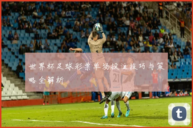 世界杯足球彩票单场投注技巧与策略全解析