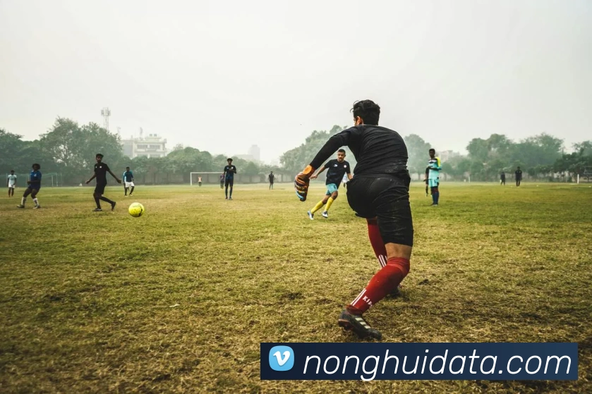 多媒体互动体验